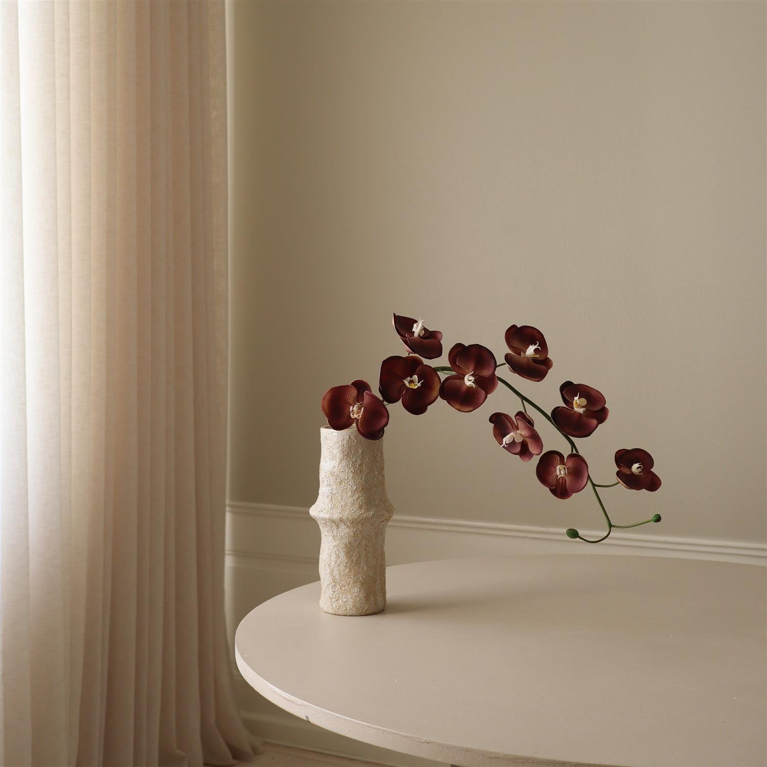 Purple Grand Orchid Flower Blomster